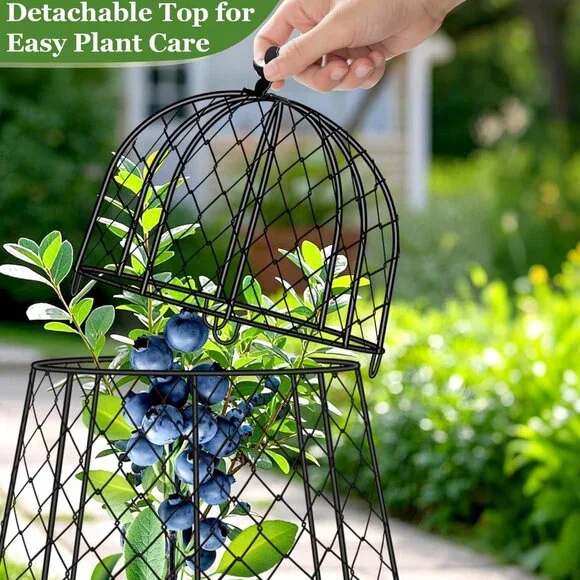 Garden Cloches for Plants, Plant Protectors from Animals, Rustproof Chicken Wire - Picture 5 of 7